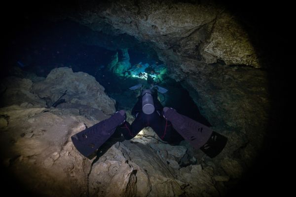 Night Diver
