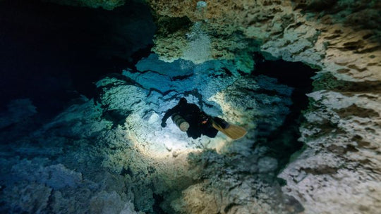 Night Diver