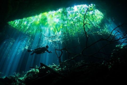 Wreck Diver