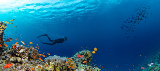 Wreck Diver