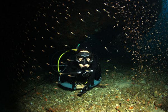 Night Diver