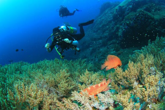 PADI Discover Scuba