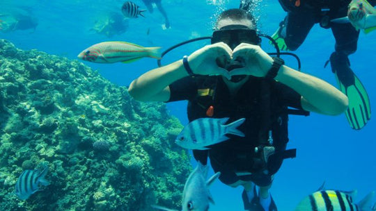 PADI FreeDiver Course