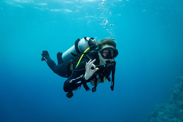 PADI FreeDiver Course