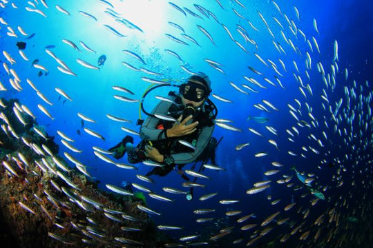 PADI Reactivate Program