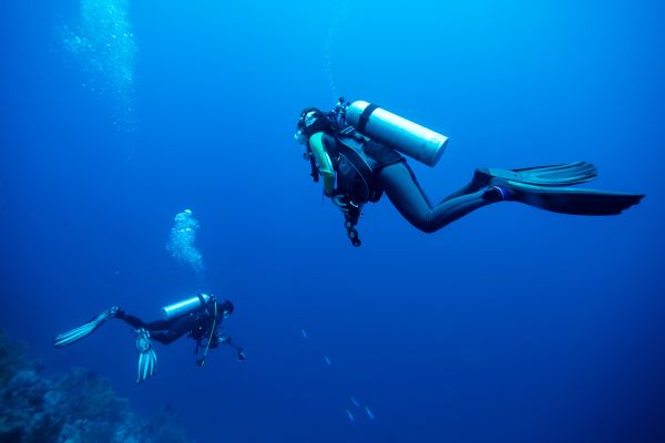 Dry Suit Diver
