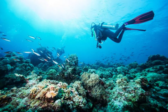 Adventure Diver