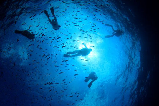 Drift Diver