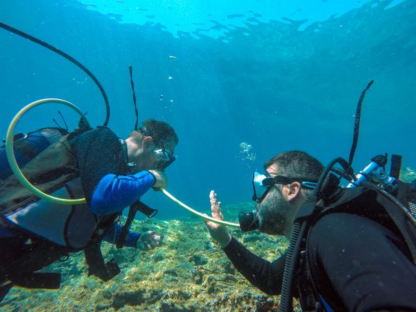 PADI Peak Performance Course